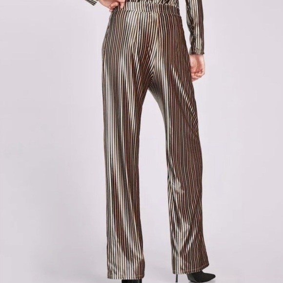 NWOT Zara High Waisted Palooza Velvet Striped Pants Size Medium - Picture 4 of 8